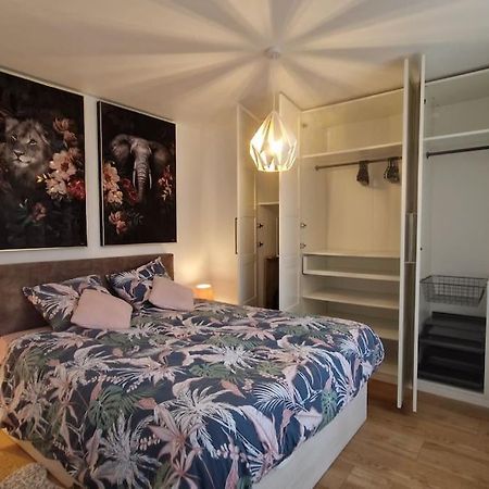 Modern Jungle - Colmar Apartment Luaran gambar
