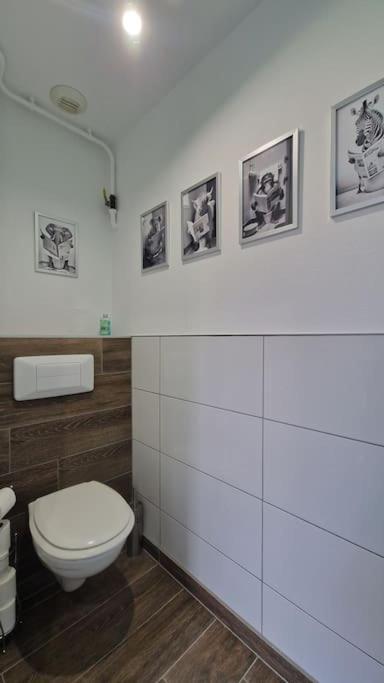 Modern Jungle - Colmar Apartment Luaran gambar